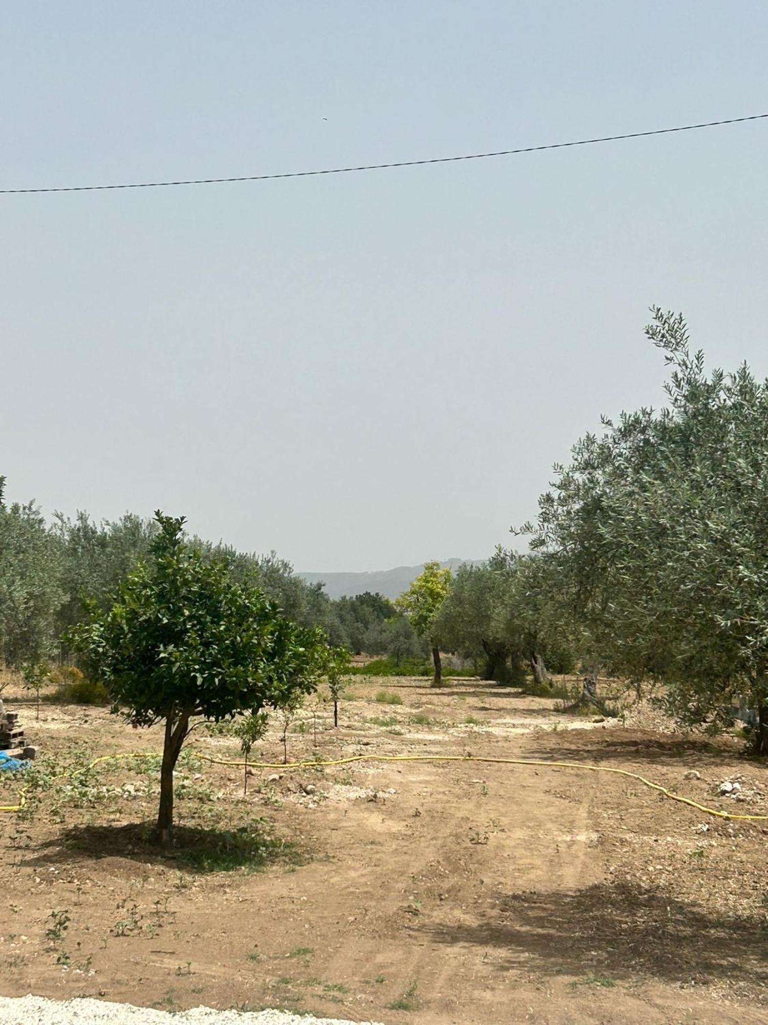 Villa Dom كيارامونتي غولفي المظهر الخارجي الصورة